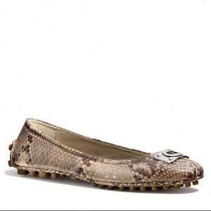 Coach Snakeskin Vernon Ballet Flats size 8